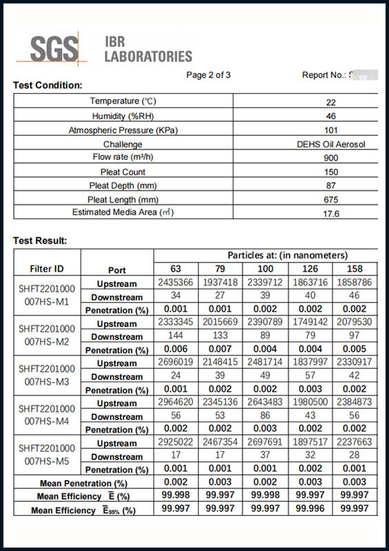 SGS Test Report